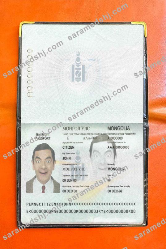 Mongolia passport photo look